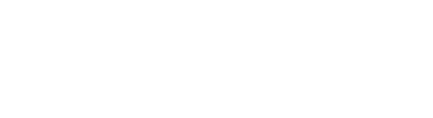 Cowboy IT | IT Consultant